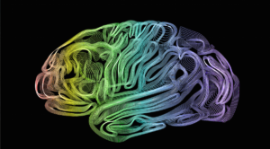 blog-brain-colors